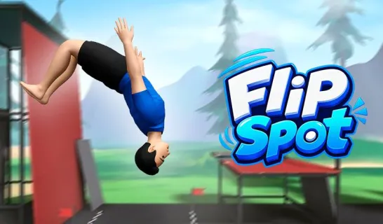 Flip Spot image