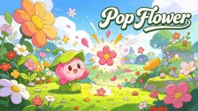 Pop Flower