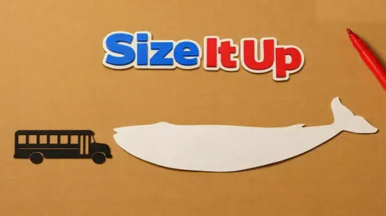 Size It Up image
