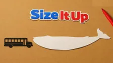 Size It Up